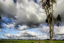 必一运动：中美洲强震引发海啸预警，多国紧急应对.